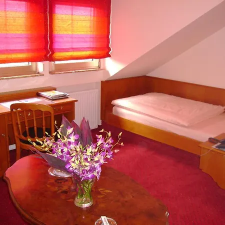 Hotel Saegmuehle 3* Haßloch